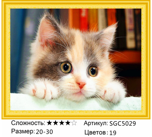 Алмазная мозаика "Очаровательный котенок"