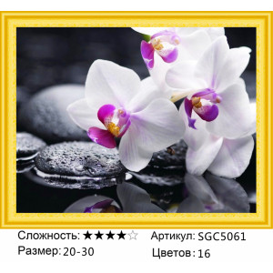 Алмазная мозаика "Белые орхидеи"